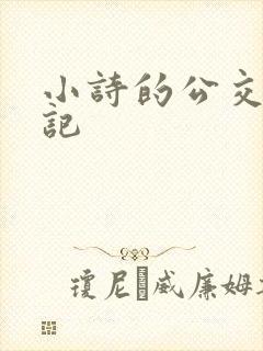小诗的公交车日记