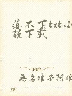 落不下txt小说下载