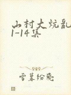 山村大炕乱肉续1-14集