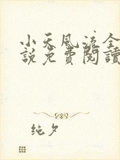 小天风流全集小说免费阅读