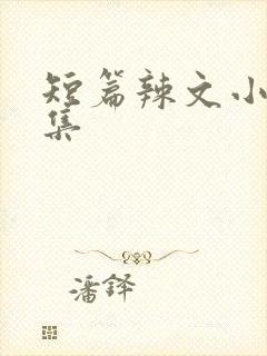 短篇辣文小说合集