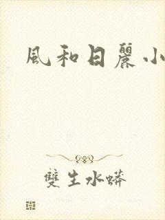 风和日丽小说