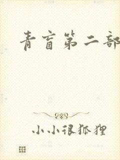 青盲第二部