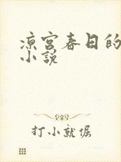 凉宫春日的忧郁小说