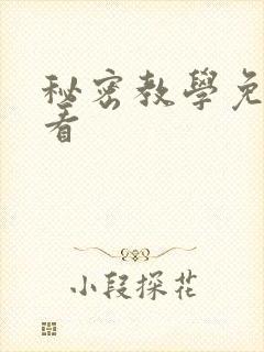 秘密教学免费观看
