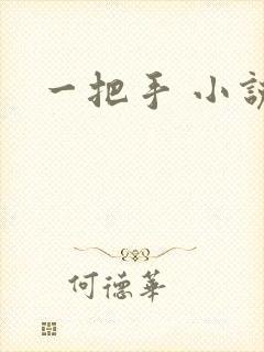 一把手 小说