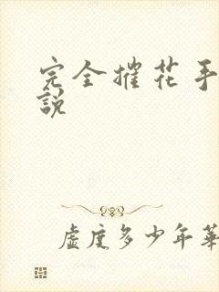 完全摧花手册小说