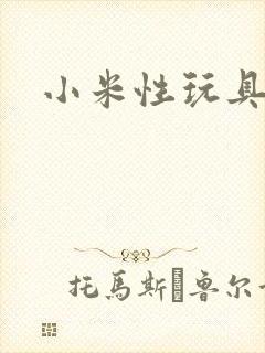 小米性玩具日记