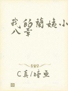我的兰姨小说第八章