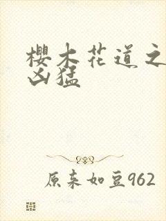 樱木花道之重生凶猛