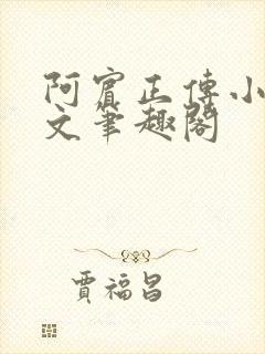 阿宾正传小说全文笔趣阁