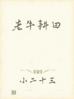 老牛耕田