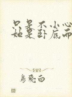 只是不小心发现她是卧底而已