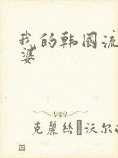 我的韩国流氓老婆