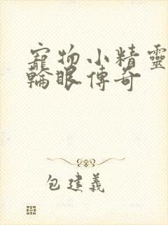 宠物小精灵之写轮眼传奇