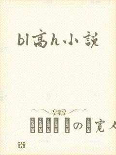 bl高h小说