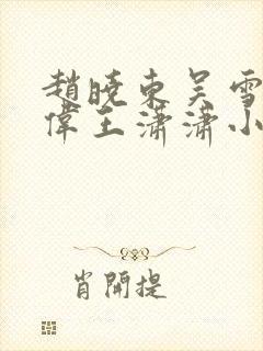 赵晓东吴雪晴郑伟王潇潇小说名字