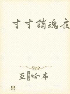 寸寸销魂夜春光