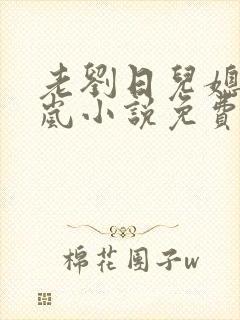 老刘日儿媳妇张岚小说免费阅读