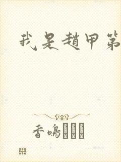 我是赵甲第小说