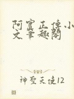 阿宾正传小说全文笔趣阁