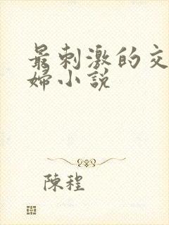 最刺激的交换夫妇小说
