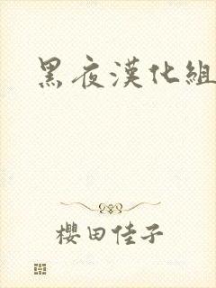 黑夜汉化组