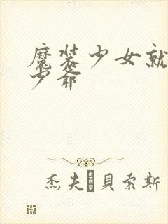 魔装少女就是本少爷