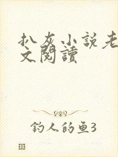 扒灰小说老马全文阅读