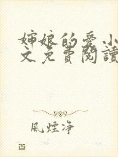 婶娘的爱小说全文免费阅读