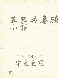 五兄共妻顾心儿小说
