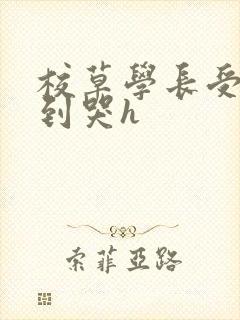 校草学长受被做到哭h