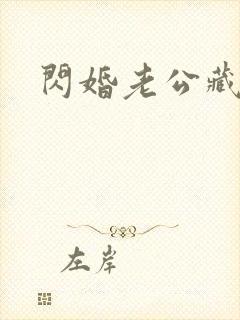 闪婚老公藏不住