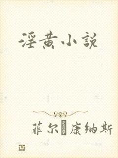 淫黄小说