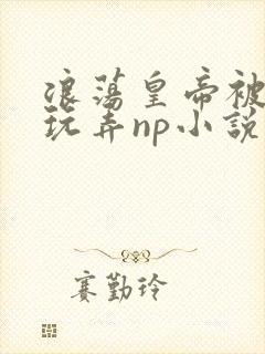 浪荡皇帝被多人玩弄np小说