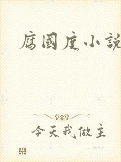 腐国度小说