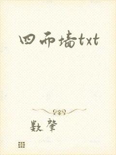 四面墙txt