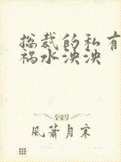 总裁的私有宝贝祸水泱泱