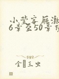 小莹客厅激情46章至50章视