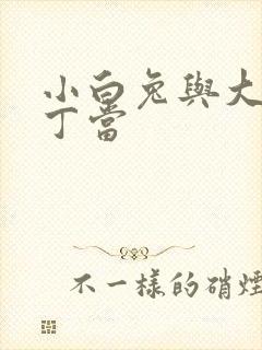 小白兔与大灰狼丁当