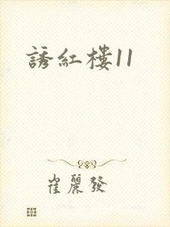 诱红楼11