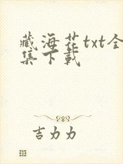藏海花txt全集下载