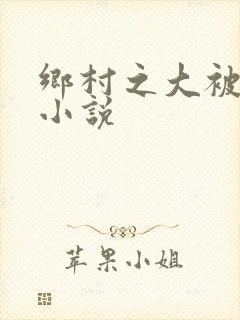 乡村之大被同眠小说