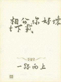 相公你好坏txt下载
