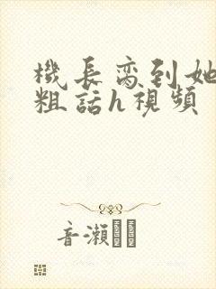 机长脔到她哭h粗话h视频