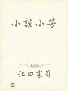 小说小芳
