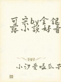 可宋by金银花露小说好看吗