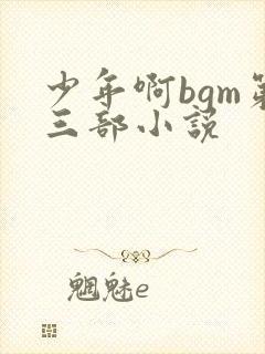 少年啊bgm第三部小说