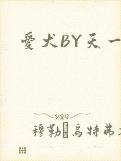 爱犬BY天一