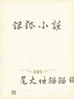 银狐小说